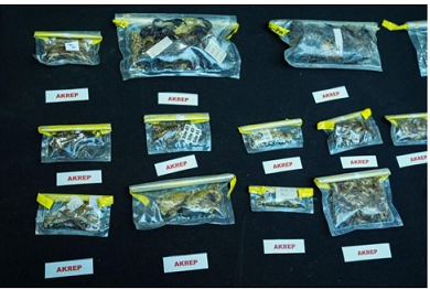 İstanbul Havalimanı’nda valizinde 1500 ölü akrep ve tarantula bulunan ABD’li müze küratörü serbest bırakıldı