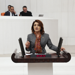 Gülcan Kış: “Aile Yılı Hatıra Değil, Yoksulluk Yılı Oldu!”