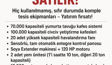KOMPLE CİVCİV VE YUMURTA TAVUKÇULUK TESİSİ EKİPMANLARI SATILIK!