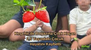 Hakim çiftin acı günü: Boğazına çilek kaçan 2,5 yaşındaki oğulları hayatını kaybetti