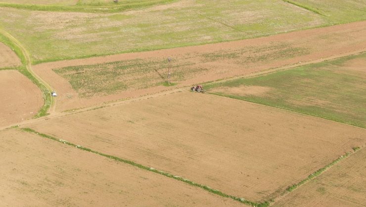 DRONLA GÖRÜNTÜLENDİ TUFANBEYLİ’DE TARLALAR SARIYA HAZIRLANIYOR