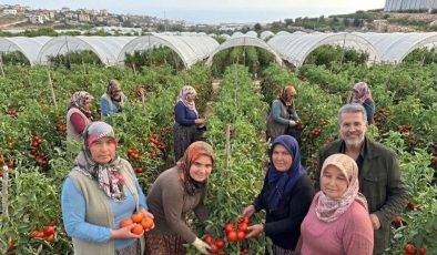 MİLLETVEKİLİ UYSAL’DAN KADIN ÇİFTÇİLERE DESTEK ÇAĞRISI: EMEKLERİ GÜVENCE ALTINA ALINMALI