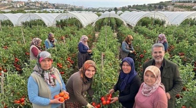 MİLLETVEKİLİ UYSAL’DAN KADIN ÇİFTÇİLERE DESTEK ÇAĞRISI: EMEKLERİ GÜVENCE ALTINA ALINMALI